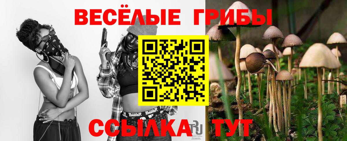 Псилоцибиновые грибы прущие грибы Можга